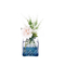 Artificial home decor Flower in Glass Vase for Room Decor