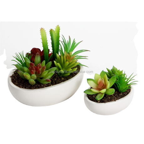 Artificial succulent plants with ceramic pots