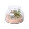 wholesale glass terrarium with artificial succulent pots for plants