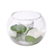 New arrival glass plant terrarium with artificial flower home decor pot