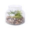 Hot sales glass plant terrarium jar with artificial succulent
