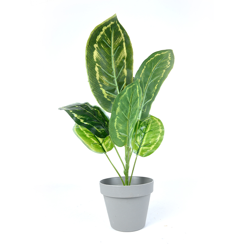 Oasia artificial plant